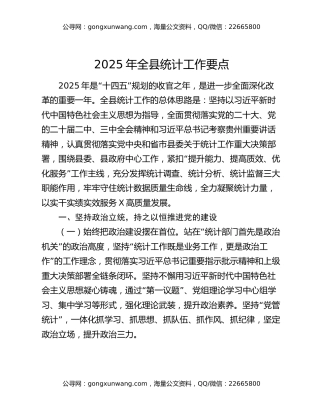 2025年全县统计工作要点