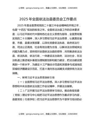 2025年全面依法治县委员会工作要点