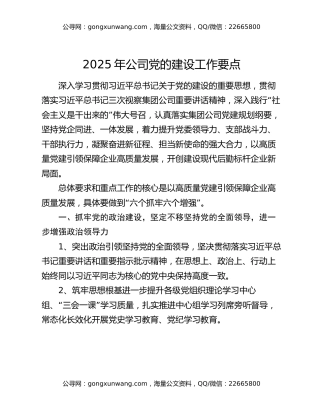 2025年公司党的建设工作要点