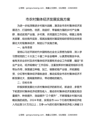 市农村集体经济发展实施方案