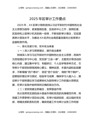 2025年区审计工作要点