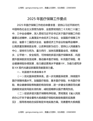 2025年医疗保障工作要点