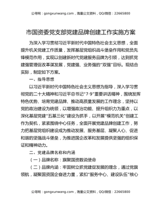 市国资委党支部党建品牌创建工作实施方案