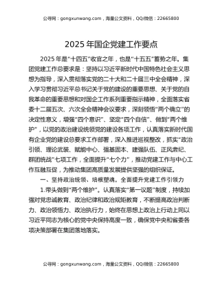 2025年国企党建工作要点