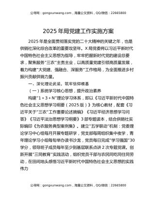 2025年局党建工作实施方案