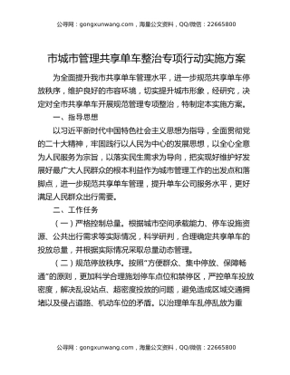 市城市管理共享单车整治专项行动实施方案