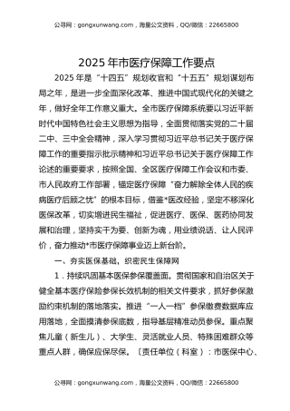 2025年市医疗保障工作要点