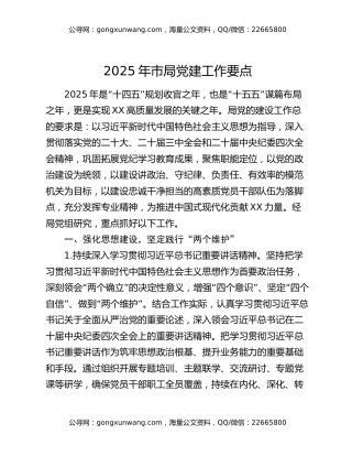 2025年市局党建工作要点