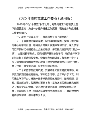 2025年市局党建工作要点（通用版）