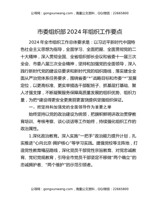 市委组织部2024年组织工作要点