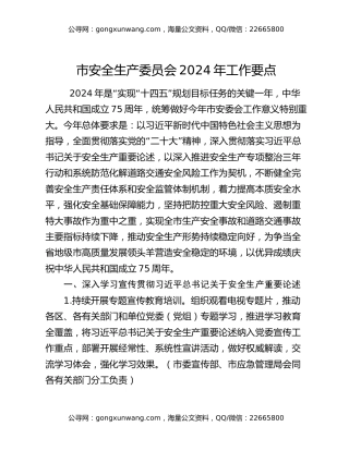 市安全生产委员会2024年工作要点
