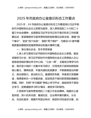 2025年市政府办公室意识形态工作要点