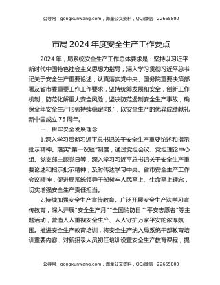 市局2024年度安全生产工作要点