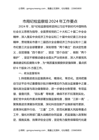 市局纪检监察组2024年工作要点