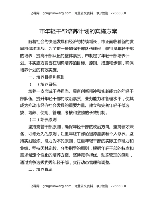 市年轻干部培养计划的实施方案