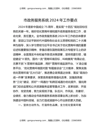 市政务服务系统2024年工作要点