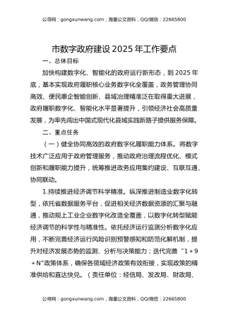 市数字政府建设2025年工作要点