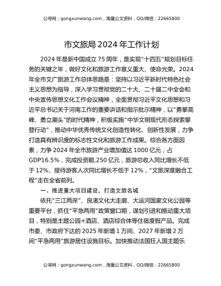 市文旅局2024年工作计划