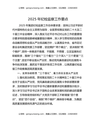 2025年纪检监察工作要点