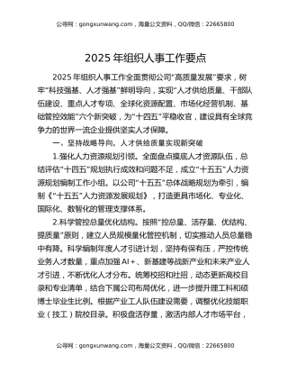 2025年组织人事工作要点