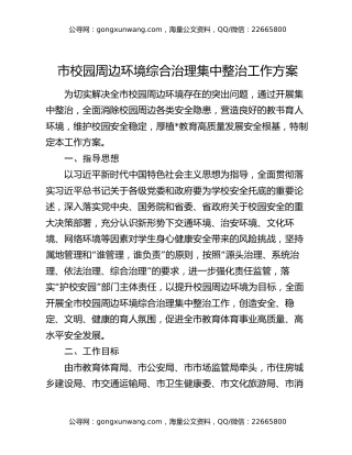 市校园周边环境综合治理集中整治工作方案