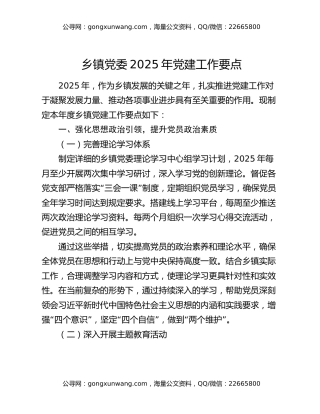 乡镇党委2025年党建工作要点