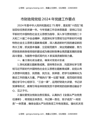市财政局党组2024年党建工作要点