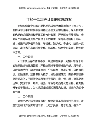 年轻干部培养计划的实施方案