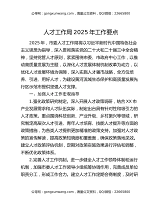 人才工作局2025年工作要点