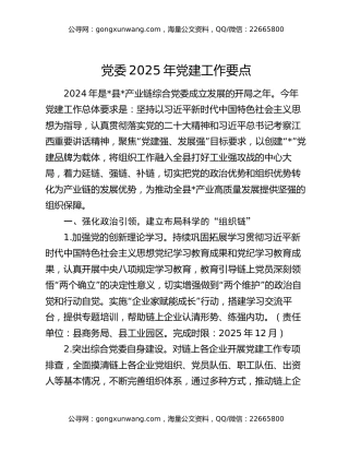 党委2025年党建工作要点