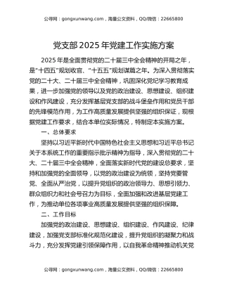 党支部2025年党建工作实施方案