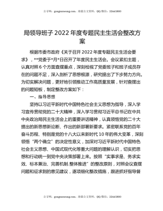 局领导班子2022年度专题民主生活会整改方案
