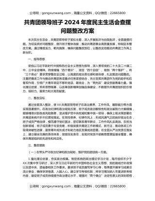 共青团领导班子2024年度民主生活会查摆问题整改方案