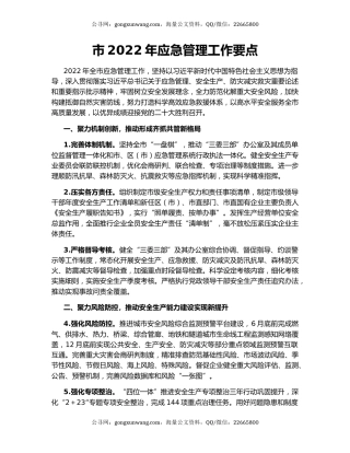 市2022年应急管理工作要点