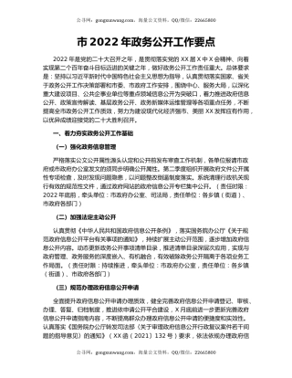 市2022年政务公开工作要点
