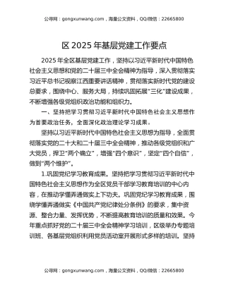 区2025年基层党建工作要点
