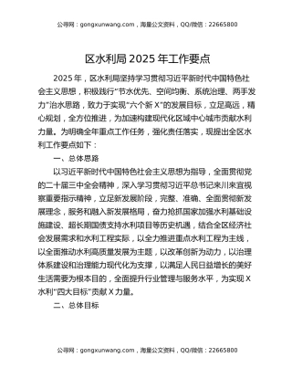 区水利局2025年工作要点
