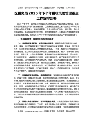 区税务局2025年下半年税收风险管理重点工作安排部署