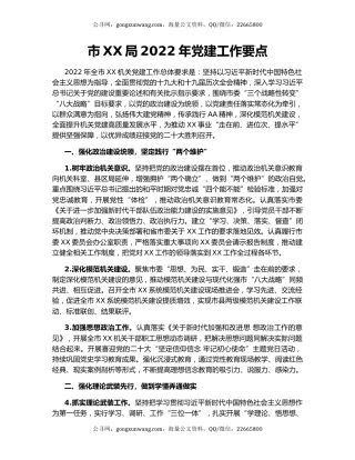 市XX局2022年党建工作要点