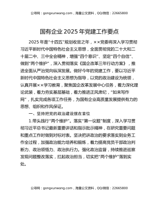 国有企业2025年党建工作要点（2）