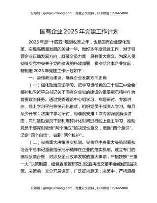 国有企业2025年党建工作计划（2）