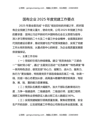 国有企业2025年度党建工作要点