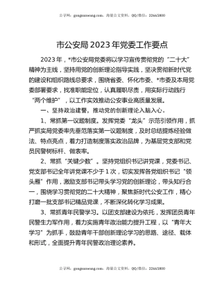 市公安局2023年党委工作要点