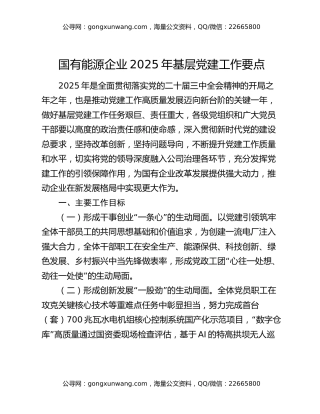 国有能源企业2025年基层党建工作要点