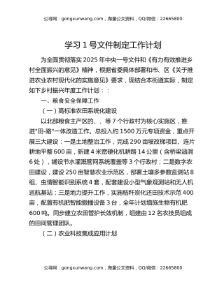 学习1号文件制定工作计划