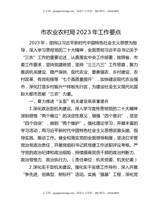 市农业农村局2023年工作要点