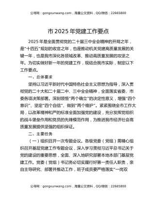 市2025年党建工作要点