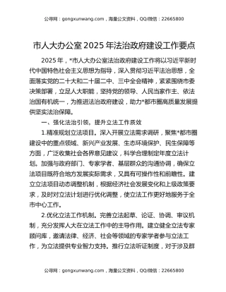市人大办公室2025年法治政府建设工作要点