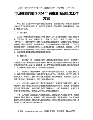 市卫健委党委2024年民主生活会整改工作方案