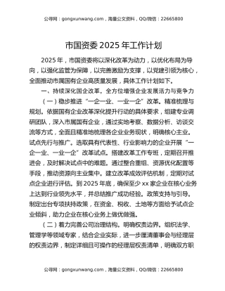 市国资委2025年工作计划